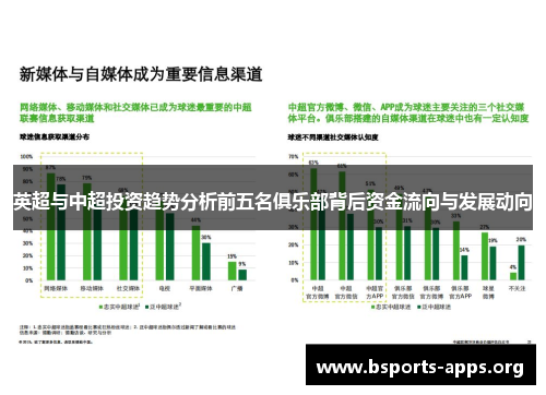 英超与中超投资趋势分析前五名俱乐部背后资金流向与发展动向
