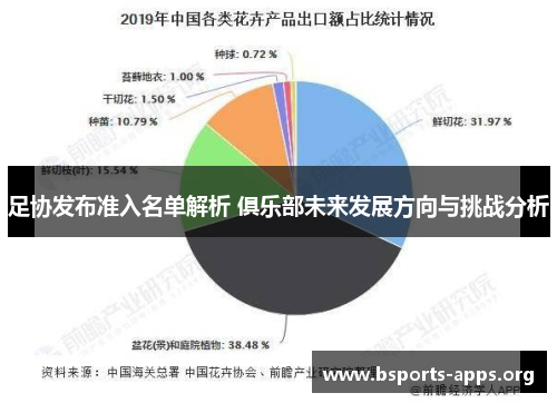 足协发布准入名单解析 俱乐部未来发展方向与挑战分析