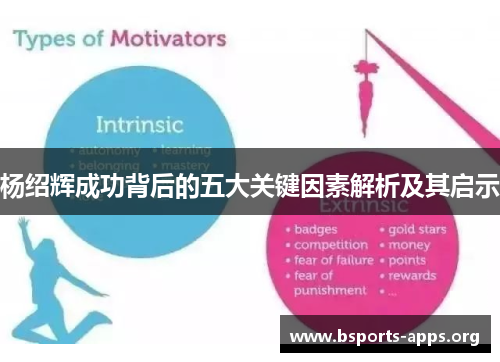 杨绍辉成功背后的五大关键因素解析及其启示